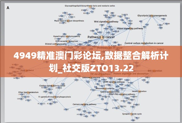 4949精准澳门彩论坛,数据整合解析计划_社交版ZTO13.22