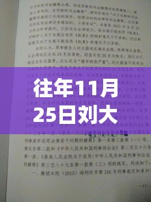 揭秘刘大蔚案最新进展，特色小店探秘之旅与案件最新动态解析