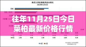 菜柏最新价格行情分析与市场趋势探讨，影响因素及价格预测