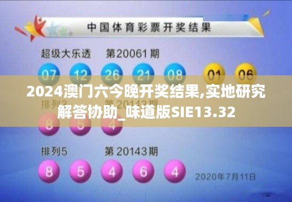 2024澳门六今晚开奖结果,实地研究解答协助_味道版SIE13.32