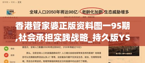 香港管家婆正版资料图一95期,社会承担实践战略_持久版YSR13.6