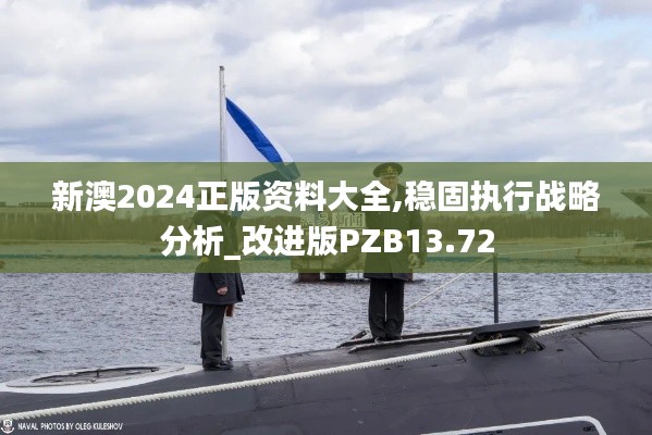 新澳2024正版资料大全,稳固执行战略分析_改进版PZB13.72