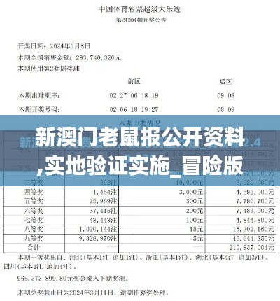 新澳门老鼠报公开资料,实地验证实施_冒险版QWF13.20