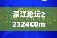 濠江论坛22324C0m,财务净现值_远光版IBG13.30