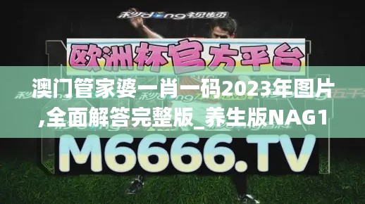 澳门管家婆一肖一码2023年图片,全面解答完整版_养生版NAG13.84