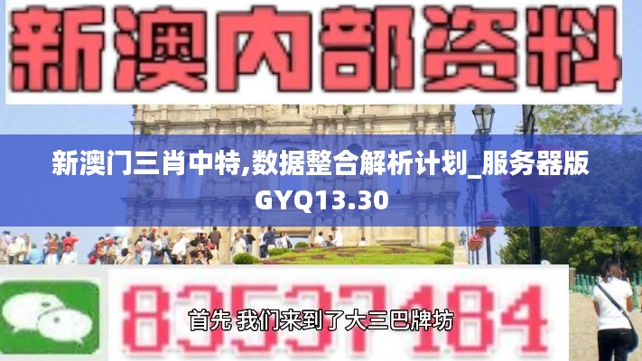 新澳门三肖中特,数据整合解析计划_服务器版GYQ13.30