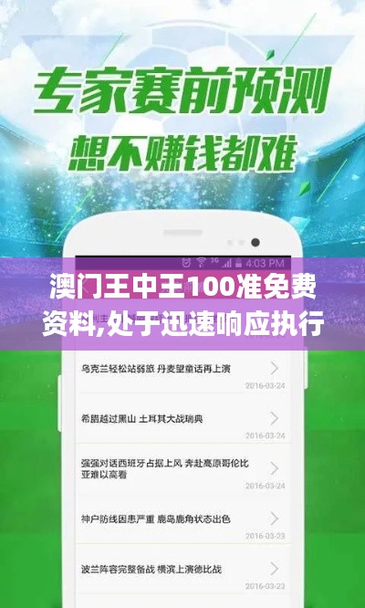 澳门王中王100准免费资料,处于迅速响应执行_定义版JPW13.61