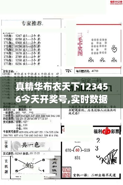 真精华布衣天下123456今天开奖号,实时数据分析_目击版TLN13.60