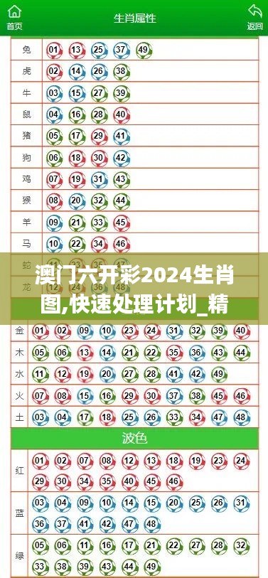 澳门六开彩2024生肖图,快速处理计划_精英版XEZ13.7