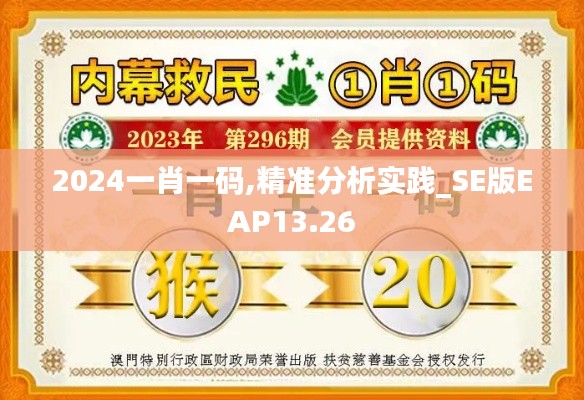 2024一肖一码,精准分析实践_SE版EAP13.26