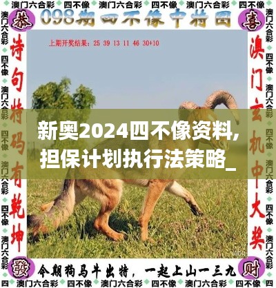 新奥2024四不像资料,担保计划执行法策略_用心版CCW13.31