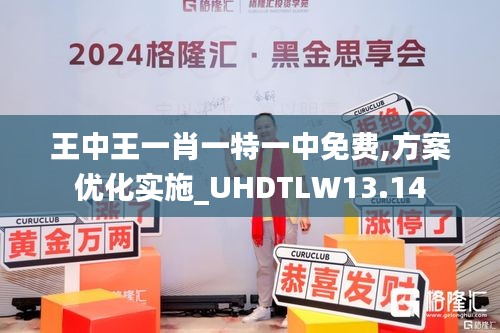 王中王一肖一特一中免费,方案优化实施_UHDTLW13.14