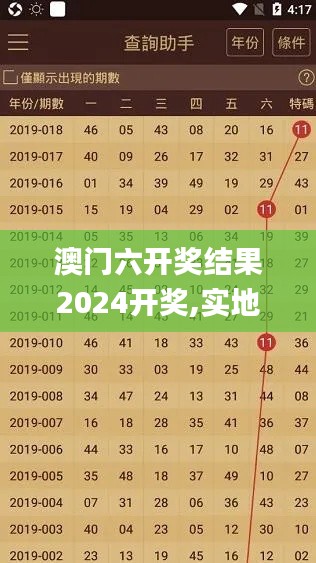 澳门六开奖结果2024开奖,实地观察数据设计_高效版CPY13.48