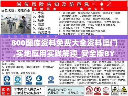 800图库资料免费大全资料澳门,实地应用实践解读_安全版BYK13.79