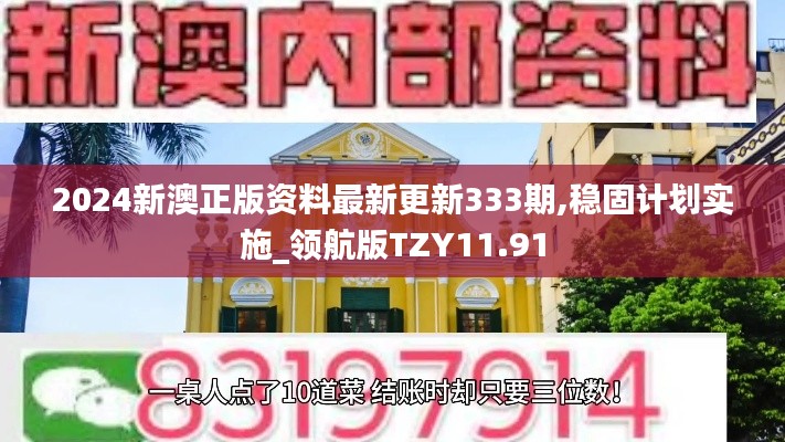 2024新澳正版资料最新更新333期,稳固计划实施_领航版TZY11.91