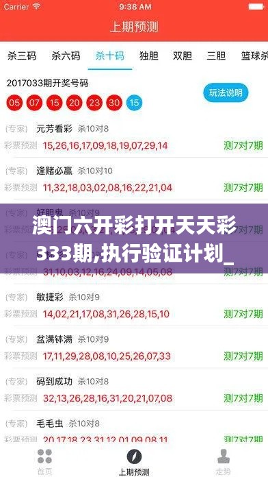 澳门六开彩打开天天彩333期,执行验证计划_确认版WSS11.69