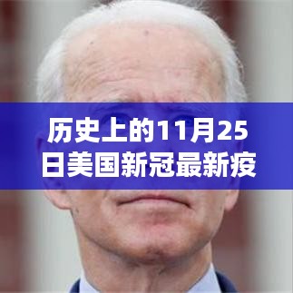 历史上的11月25日美国新冠疫情概览，全面指南与应对策略分析