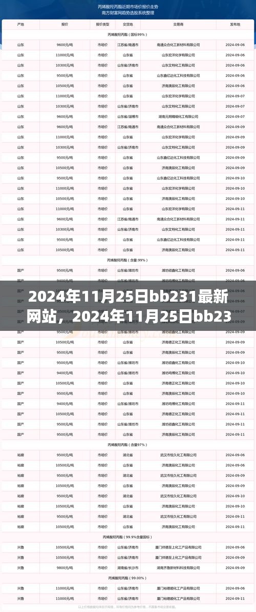 引领未来的数字化革新之旅，2024年11月25日bb231最新网站