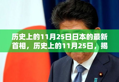 揭秘日本最新首相崛起之路，历史上的11月25日回顾与揭秘