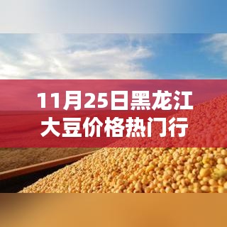 11月25日黑龙江大豆价格行情深度解析与热点透视