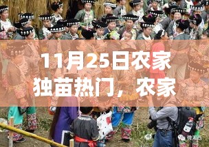 农家独苗风潮，引领时代热点事件回顾——1月农家独苗大揭秘（11月25日）