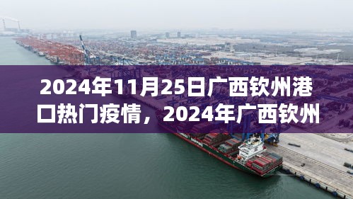 广西钦州港口疫情动态分析，热门疫情报告（2024年11月25日）