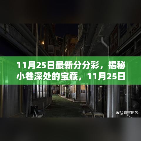 11月25日最新分分彩，揭秘小巷深处的宝藏，11月25日最新分分彩特色小店探秘