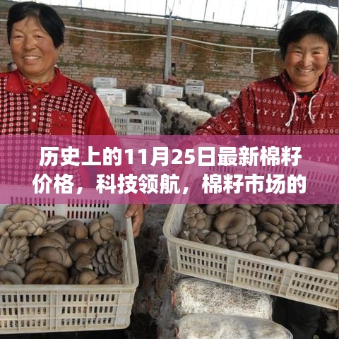 历史上的11月25日棉籽市场新纪元，智能分析系统揭示最新棉籽价格与科技领航重磅更新！