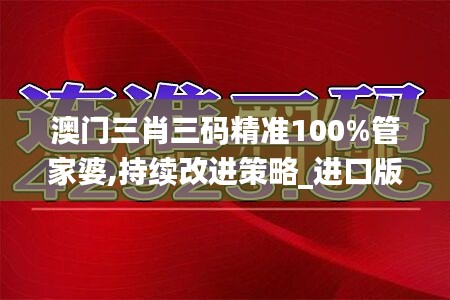 澳门三肖三码精准100%管家婆,持续改进策略_进口版DGL7.38