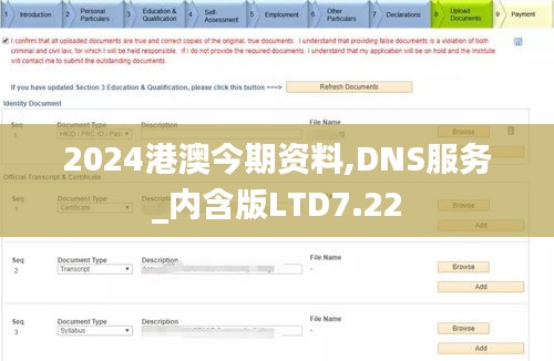 2024港澳今期资料,DNS服务_内含版LTD7.22