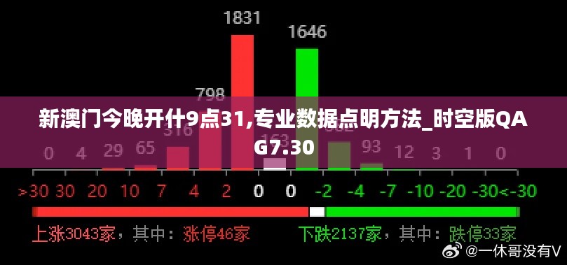 新澳门今晚开什9点31,专业数据点明方法_时空版QAG7.30