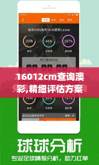 16012cm查询澳彩,精细评估方案_晴朗版HUO7.5