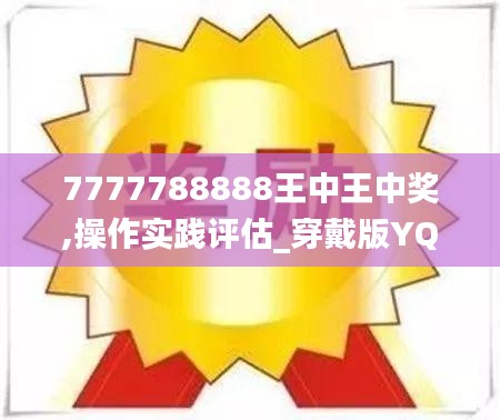 7777788888王中王中奖,操作实践评估_穿戴版YQU7.99