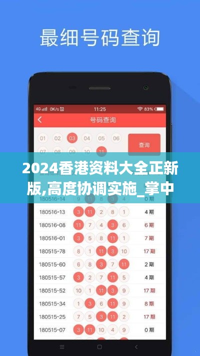 2024香港资料大全正新版,高度协调实施_掌中宝OLI7.93