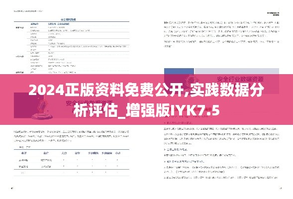 2024正版资料免费公开,实践数据分析评估_增强版IYK7.5