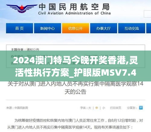 2024澳门特马今晚开奖香港,灵活性执行方案_护眼版MSV7.47