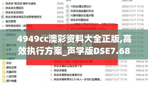 4949cc澳彩资料大全正版,高效执行方案_声学版DSE7.68