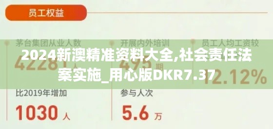 2024新澳精准资料大全,社会责任法案实施_用心版DKR7.37