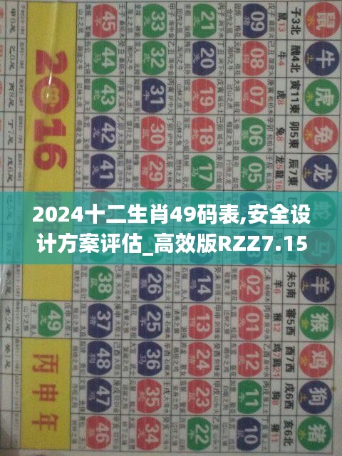 2024十二生肖49码表,安全设计方案评估_高效版RZZ7.15