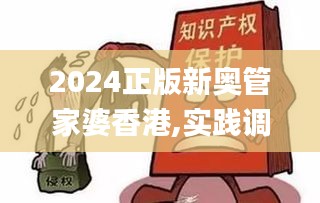 2024正版新奥管家婆香港,实践调查说明_创意设计版NFH7.90