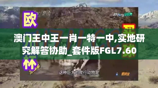 澳门王中王一肖一特一中,实地研究解答协助_套件版FGL7.60