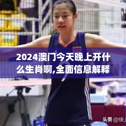 2024澳门今天晚上开什么生肖啊,全面信息解释定义_精致版IHN7.80