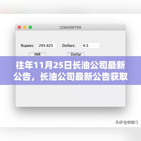 长油公司最新公告解读及获取步骤指南，初学者与进阶用户必读