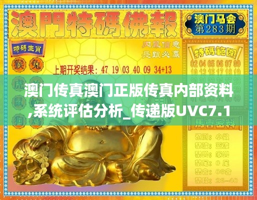 澳门传真澳门正版传真内部资料,系统评估分析_传递版UVC7.1