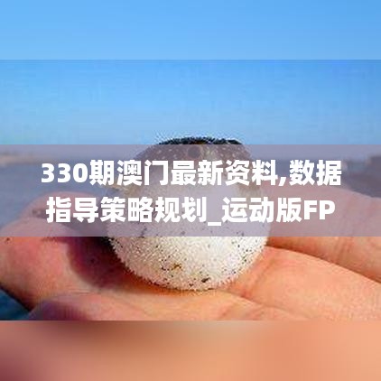 330期澳门最新资料,数据指导策略规划_运动版FPW7.47