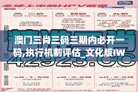 澳门三肖三码三期内必开一码,执行机制评估_文化版IWC7.26