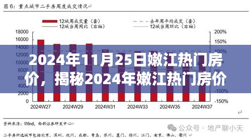 揭秘2024年嫩江热门房价走势，洞悉未来购房良机