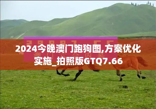 2024今晚澳门跑狗图,方案优化实施_拍照版GTQ7.66