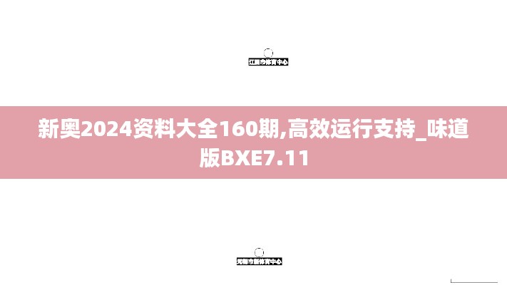 新奥2024资料大全160期,高效运行支持_味道版BXE7.11