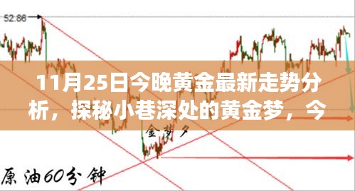 探秘黄金梦，黄金走势分析与小巷特色小店的奇遇之夜